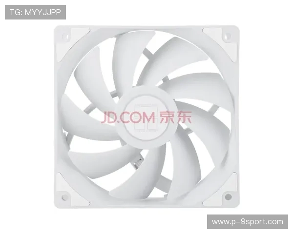 17寸笔记本电脑散热风扇性能对比分析与游戏使用中的散热表现优化